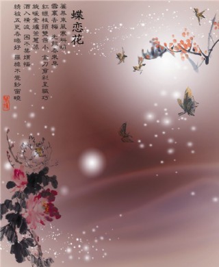 蝶恋花玄关图