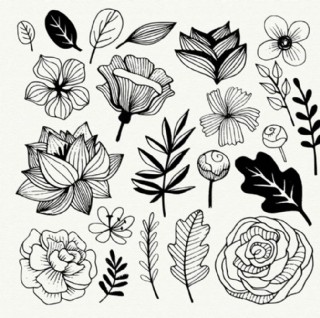 黑白手绘春季花卉线稿