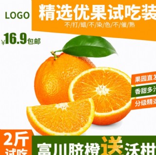 脐橙水果海报