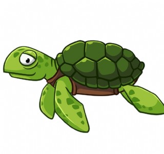 绿色乌龟动画片图片