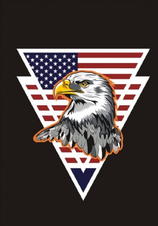 美国白头鹰矢量图下载