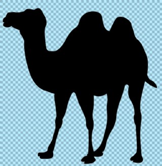 骆驼图片简笔画黑色图片