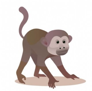 儿童画卡通画运动系列图片