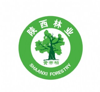 陕西林业